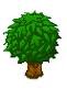 /album/fotogaleria/tree-jpg1/